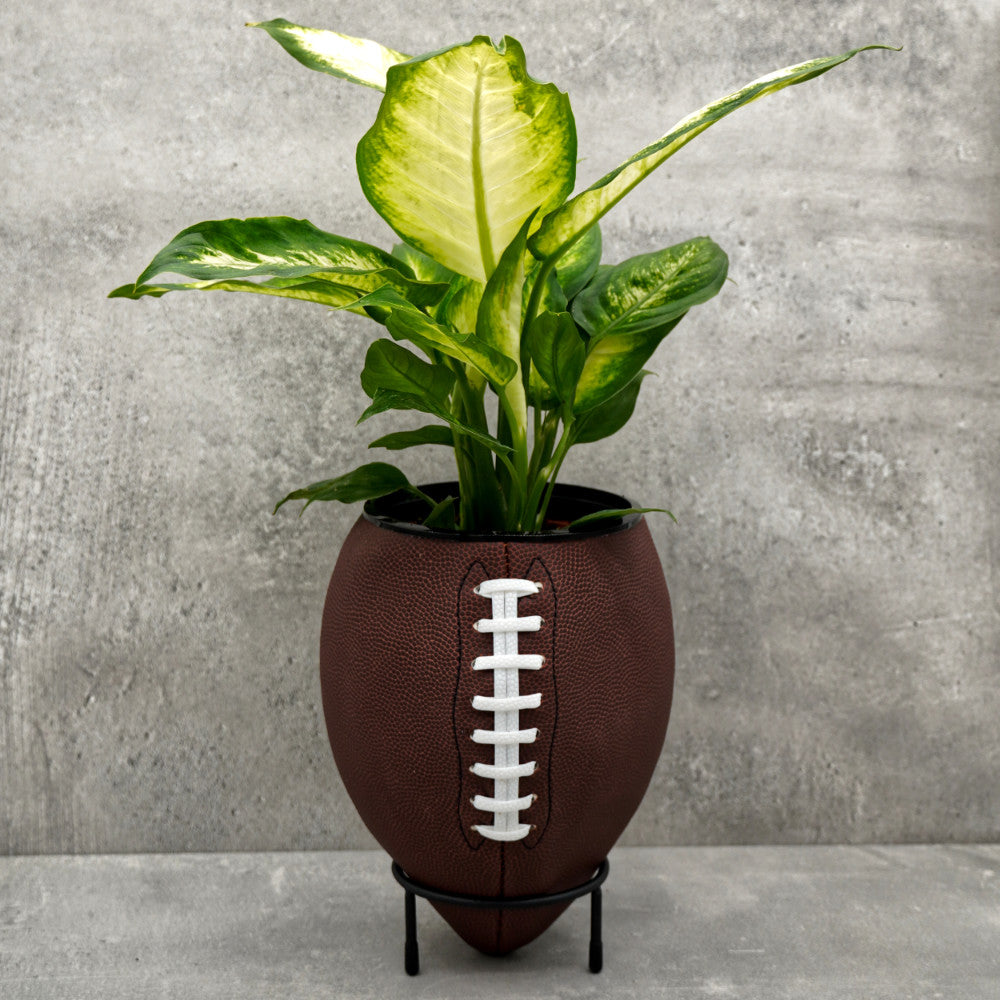 American Football Pflanze als Deko